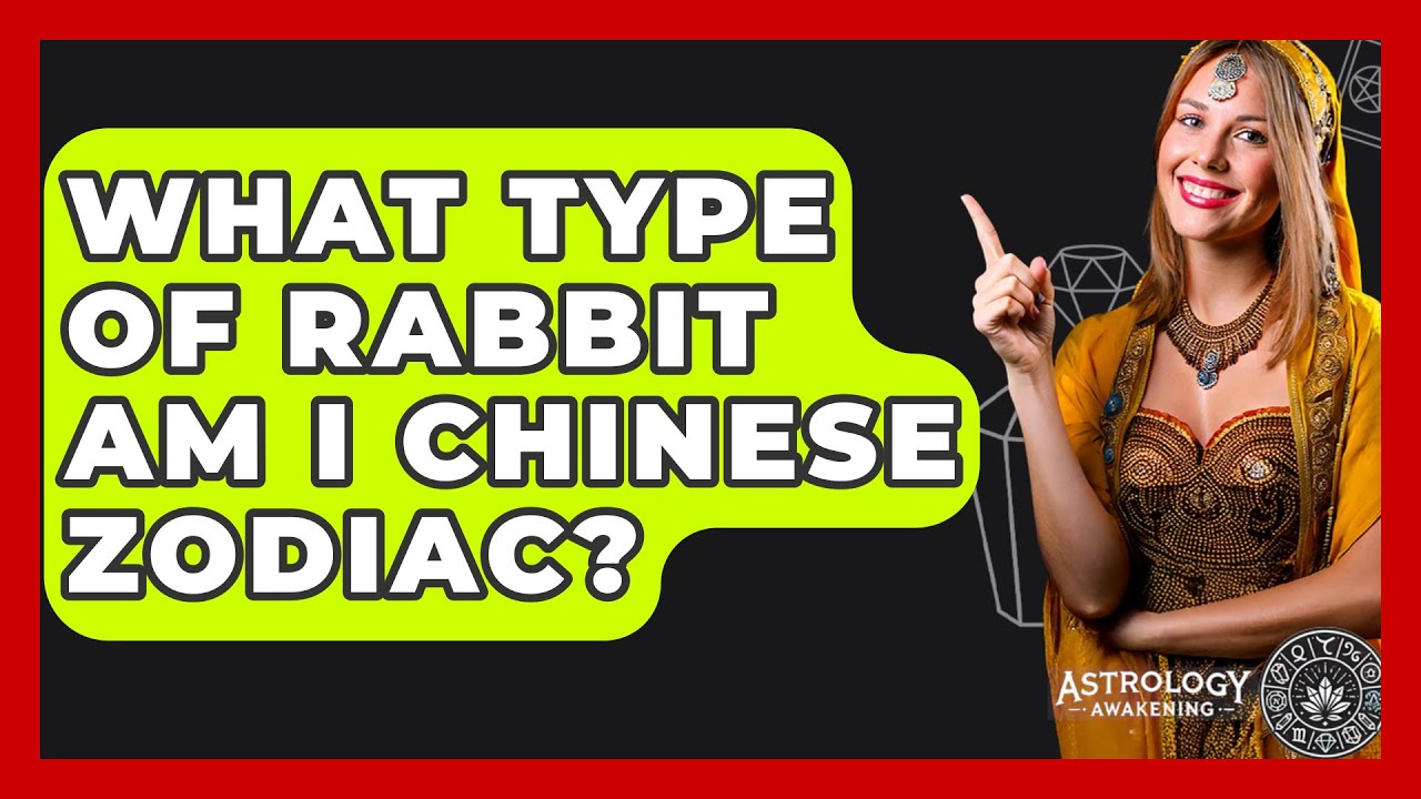 What Type Of Rabbit Am I Chinese Zodiac
