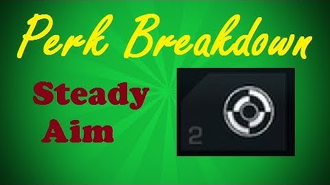 Perk Breakdown - Steady Aim - Call of Duty Ghosts