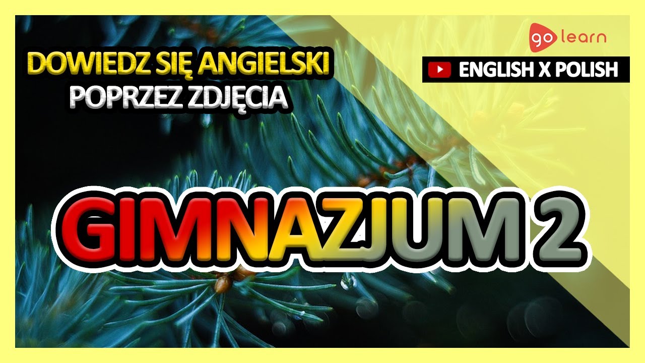 Dowiedz Się Angielski Poprzez Zdjęcia |Słownictwo Angielski Gimnazjum 2