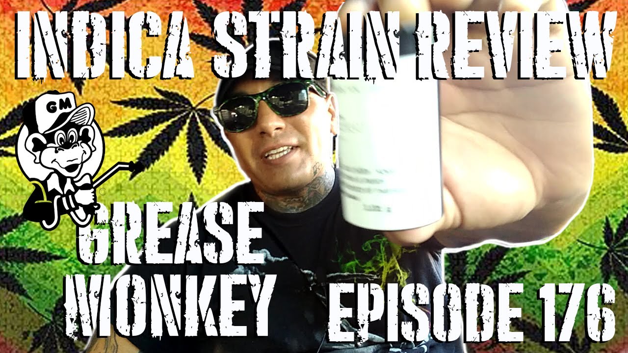 Grease Monkey 🐵- Indica Strain Review
