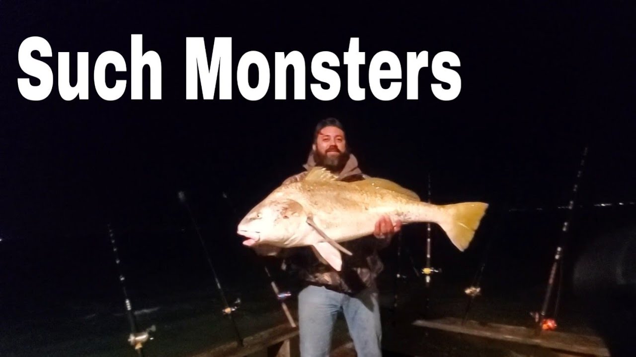 Still Rocking the BIG saltwater Drums Saltwater fishing Cosway Pier