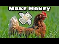 Five Ways To Make *MONEY* Raising Chickens!