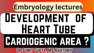 Development of Heart Tube | Cardiogenic area | Heart Embryology