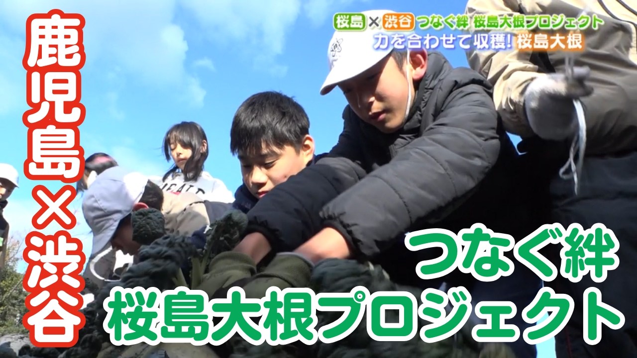 桜島大根プロジェクト|KYT 鹿児島讀賣テレビ