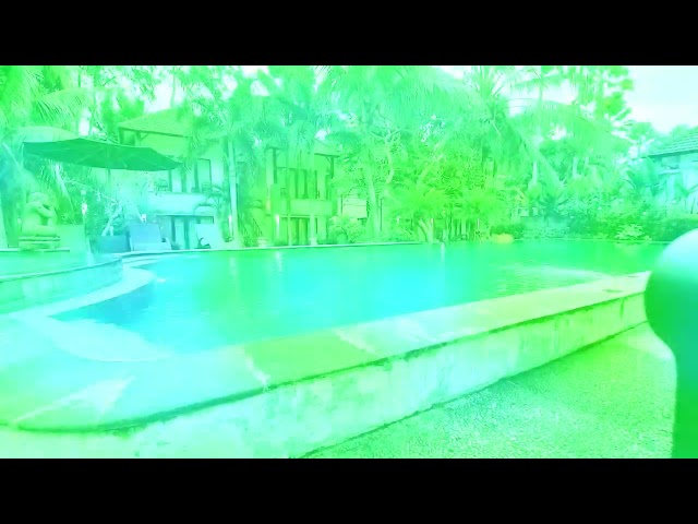 MENIKMATI UDARA PAGI DI KOLAM RENA UBUD BALI class=