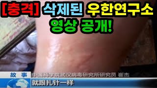 [충격] 중국연구진 박쥐 만지다 물려… 삭제된 우한연구소 영상 공개!!