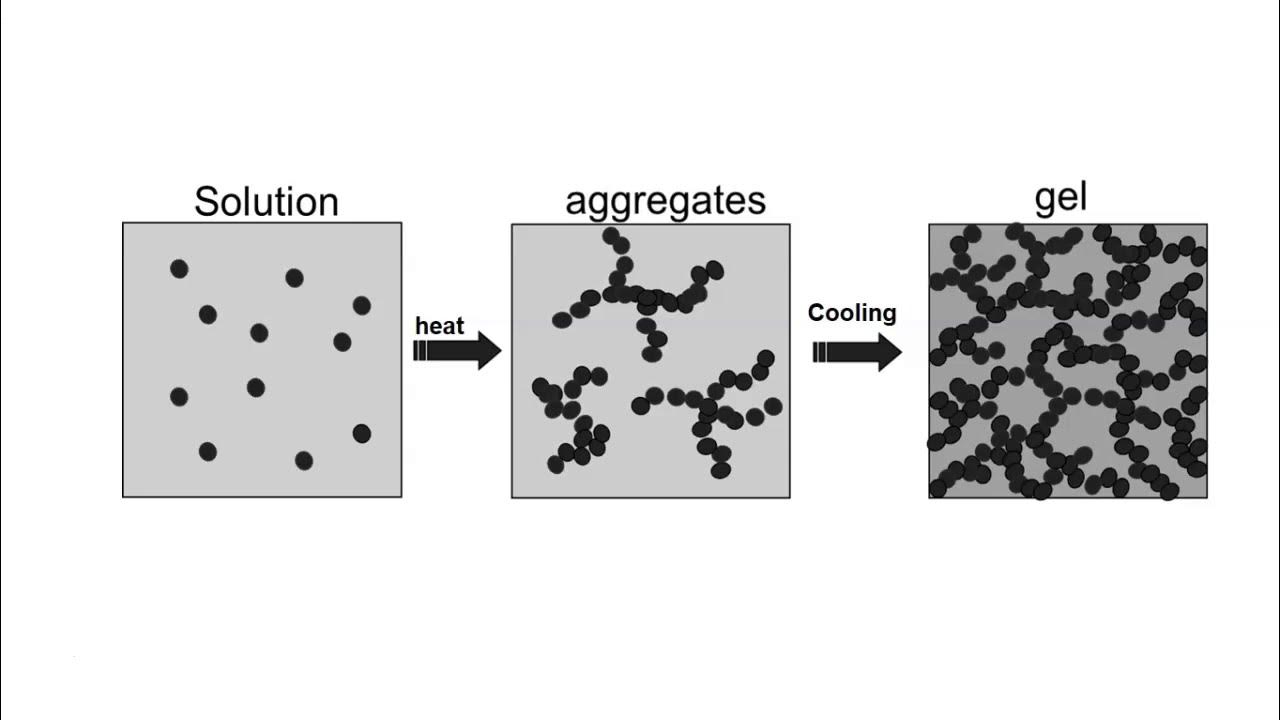 Gelation of proteins YouTube