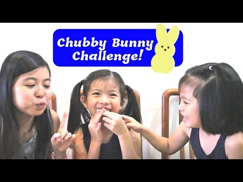 chubby-bunny-challenge-by-funny-bunnies!