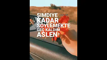 Seni Seviyorum Artik 