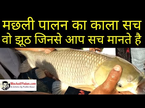 मछली पालान का काला सच जहर, चोरी और बीमारी| machhali palan ki vidhi prabhat kumar -fisheries expert