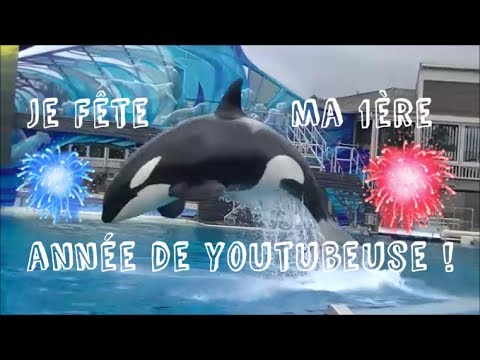 Je fête ma 1ère année de youtubeuse !
