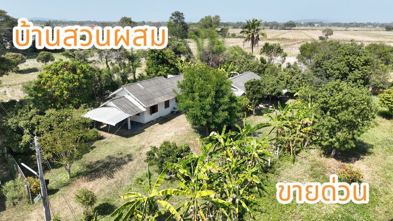 Продаётся садовый дом площадью 12 раев, цена 3 500 000 бат. Звоните по телефону 089-3265355.