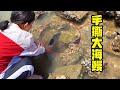 【English sub】手撕大海鳗，狂挖蛤蜊窝，这样赶海的小章你见过吗？【赶海小章】