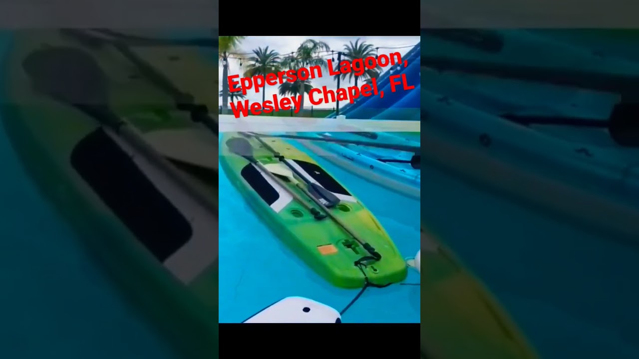 Beach in the city!! Epperson Lagoon, Wesley chapel, Fl