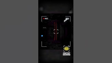 Content Warning is funnier than Lethal Company