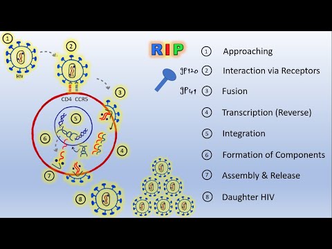 Video: Integrācijas Un Kloniskās Ekspansijas Loma HIV Infekcijā: Dzīvojiet Ilgi Un Plauksiet