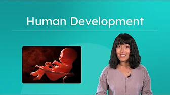 Human Development - From Zygote to Growth