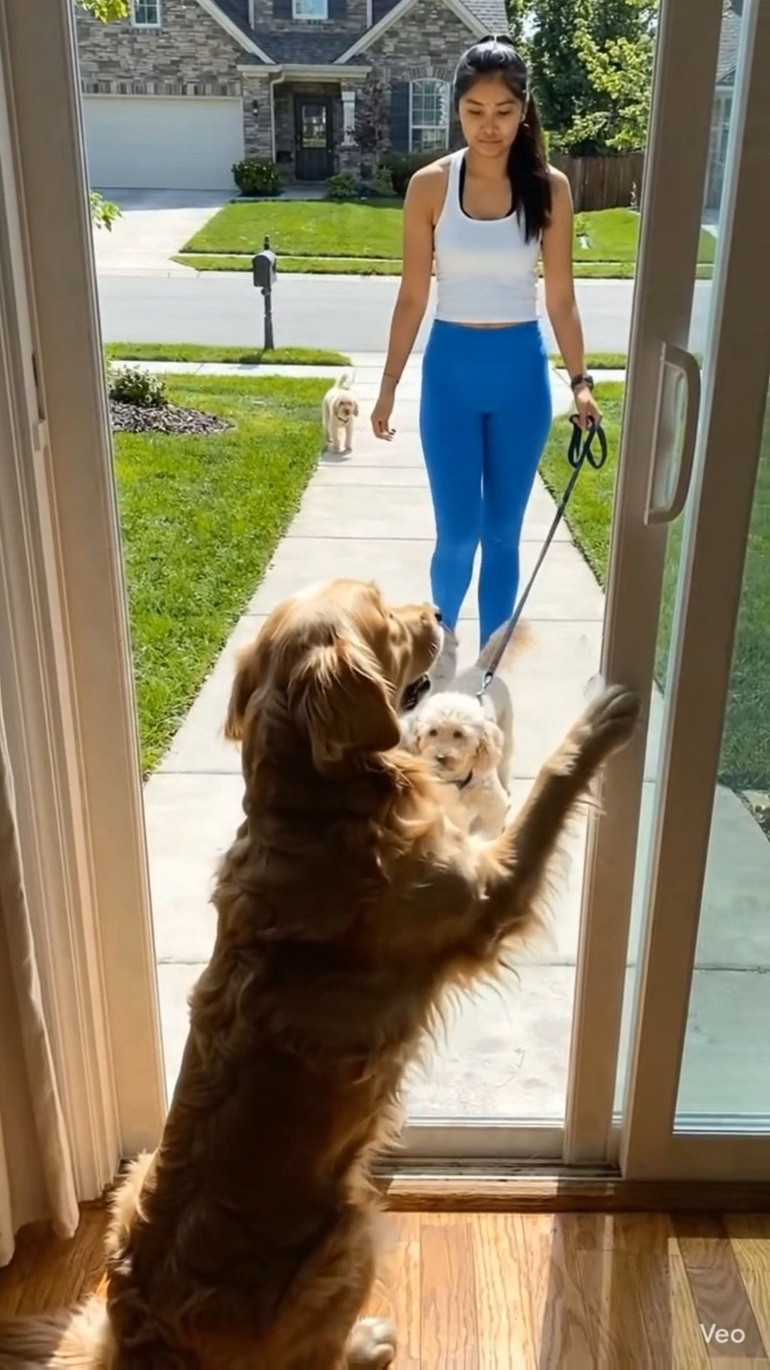 COCO GOT HIS GIRLFRIEND 😅 #funny #ihavethisthingwithplants