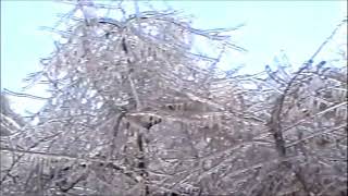 Сильное обледенение в Одесской области. Ноябрь 2000 год