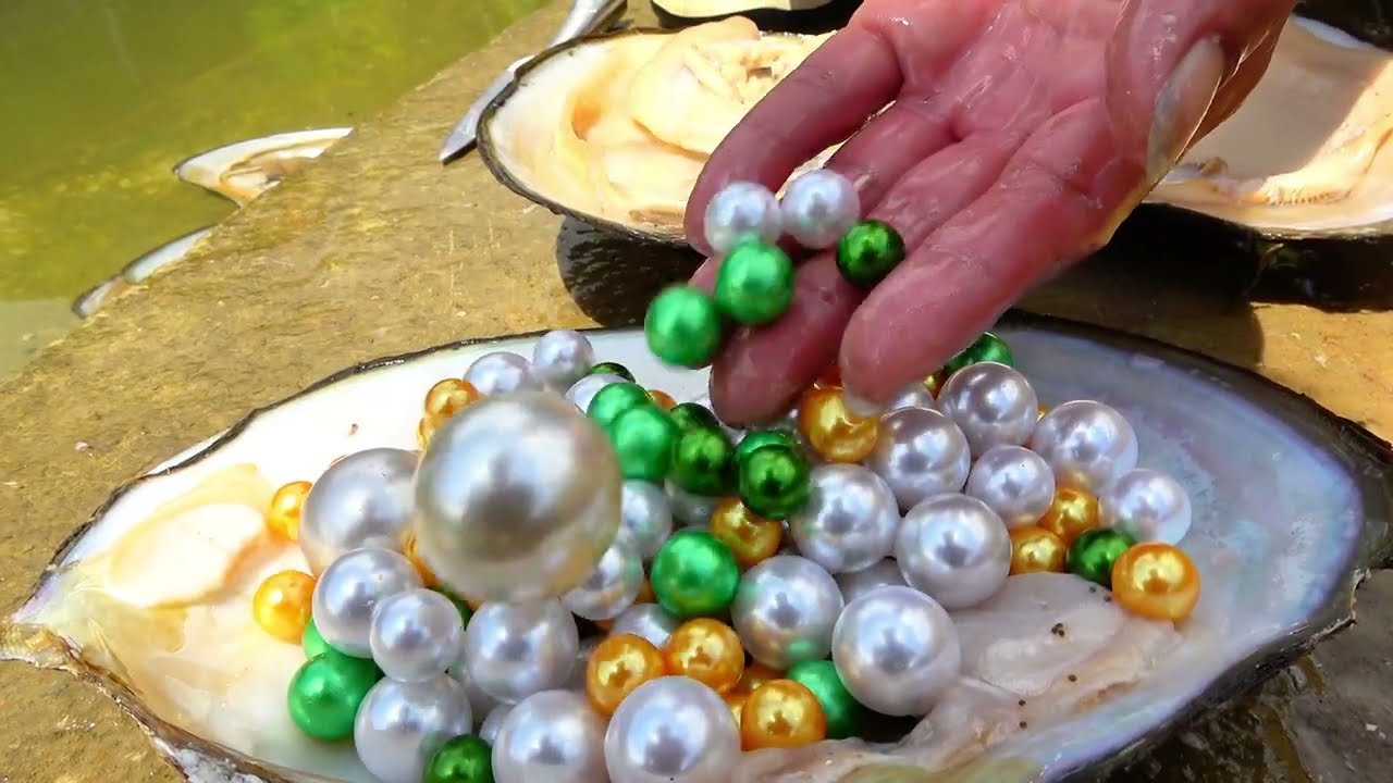 I was collecting red clams in the wilderness waters and accidentally found a sparkling pearl chain