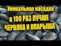 ОТ НЕЁ ДУРЕЕТ ВСЯ РЫБА! Супер рыболовная насадка для карася и карпа леща и плотва