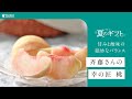 【2025年夏ギフト】極みフルーツ斉藤さんの幸の匠　桃