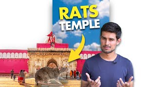 Mysterious Rats Temple Of India