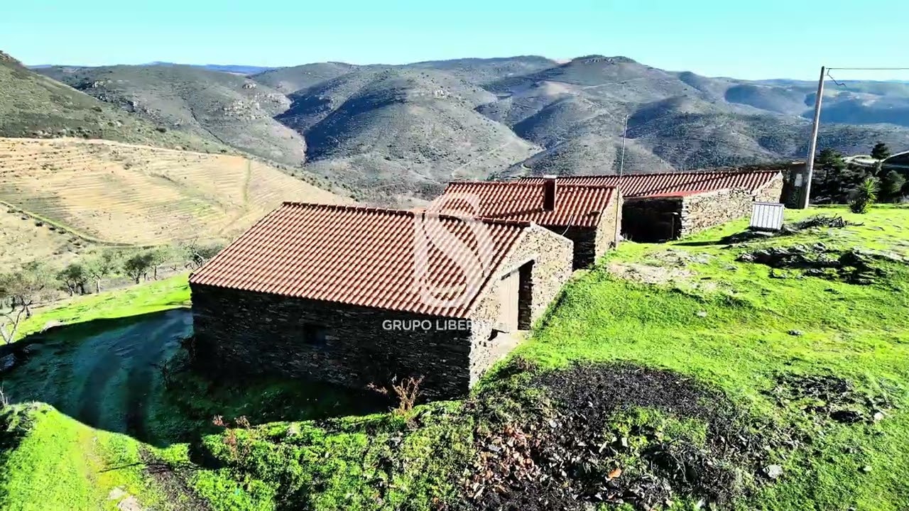 Quinta no Alto Douro 20Ha