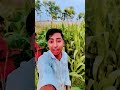 #bhojpuri #song #bhojpurisong