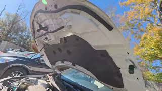 Player Profile Nissan Rogue Sport Windshield Replacement