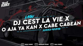 DJ CEST LA VIE X O AJA YA KAN X CABE CABEAN (Slowed Reverb)