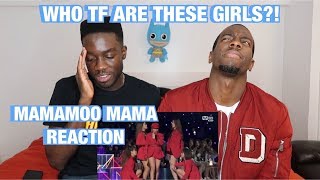 Americans React To Mamamoo For The First Time