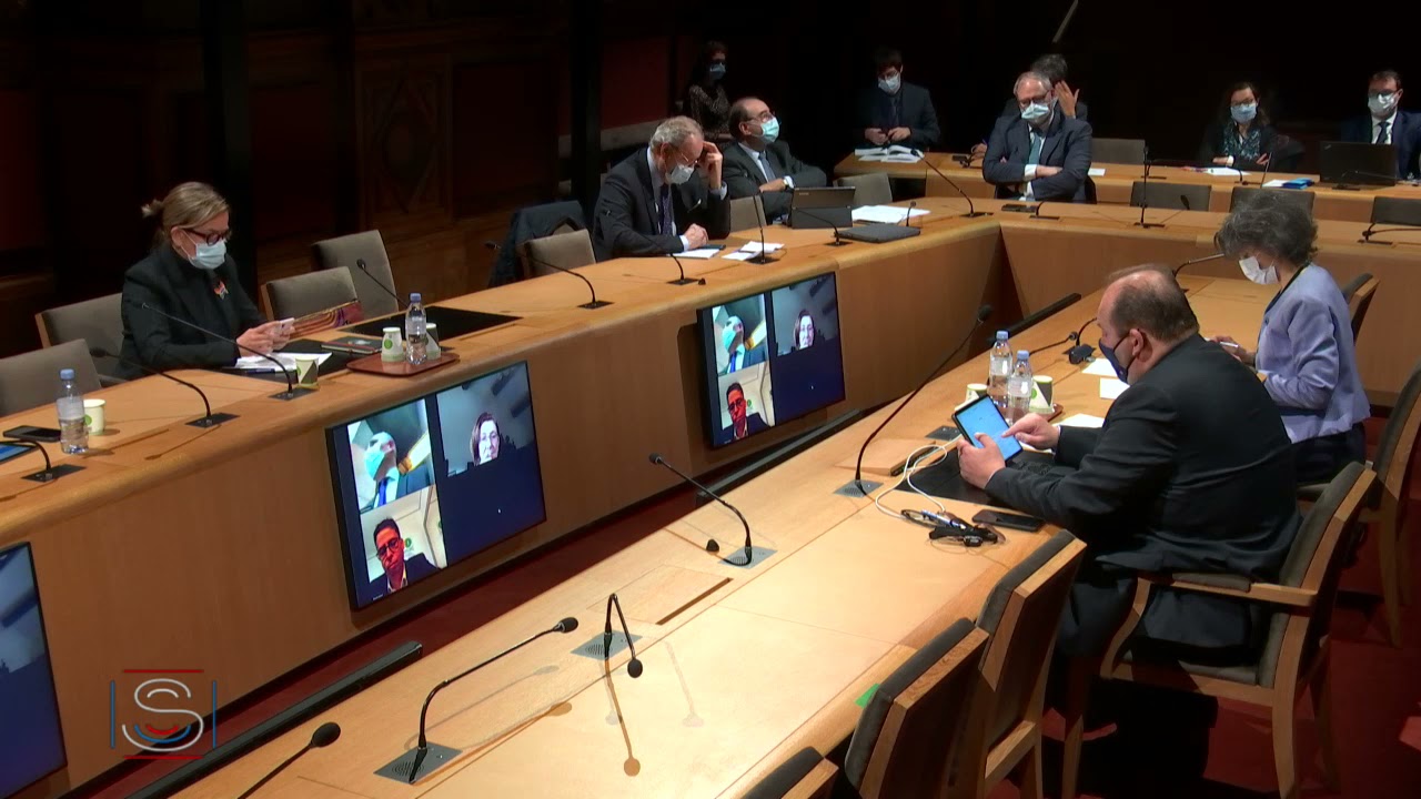 Mes questions aux députés européens Arnaud Danjean et Mounir Satouri