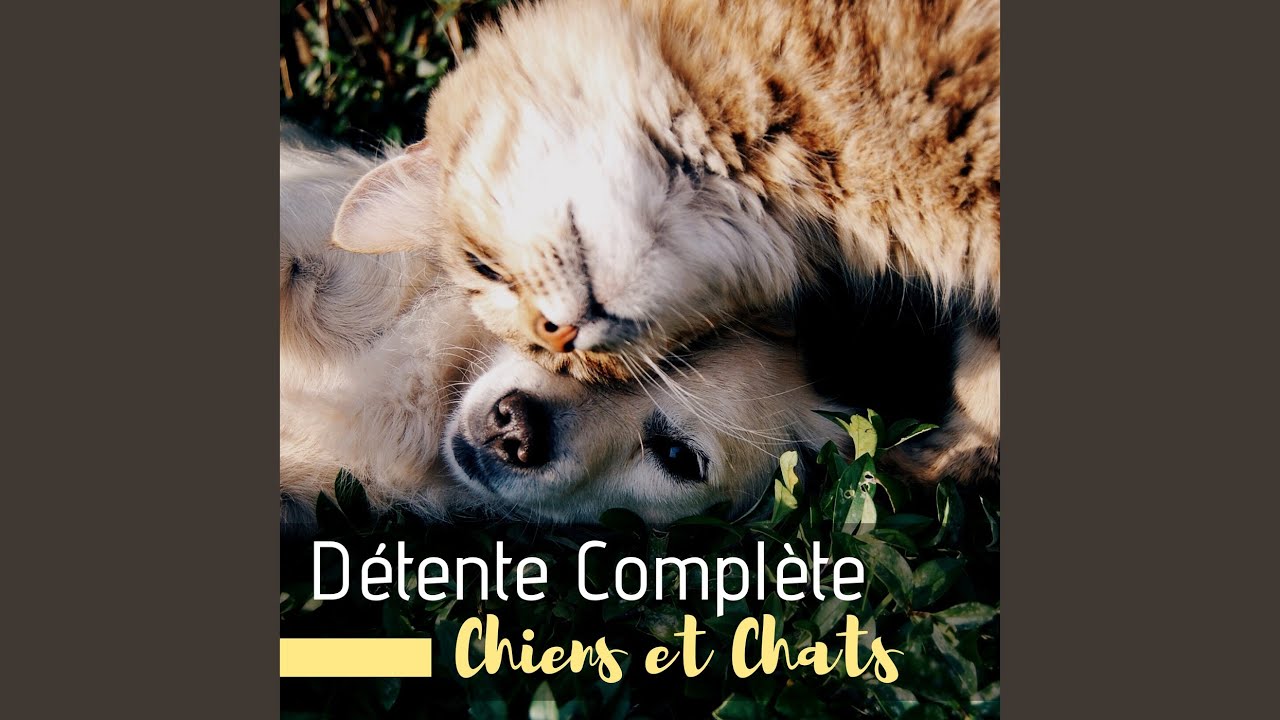 Blue Lady Musique Douce Relaxante