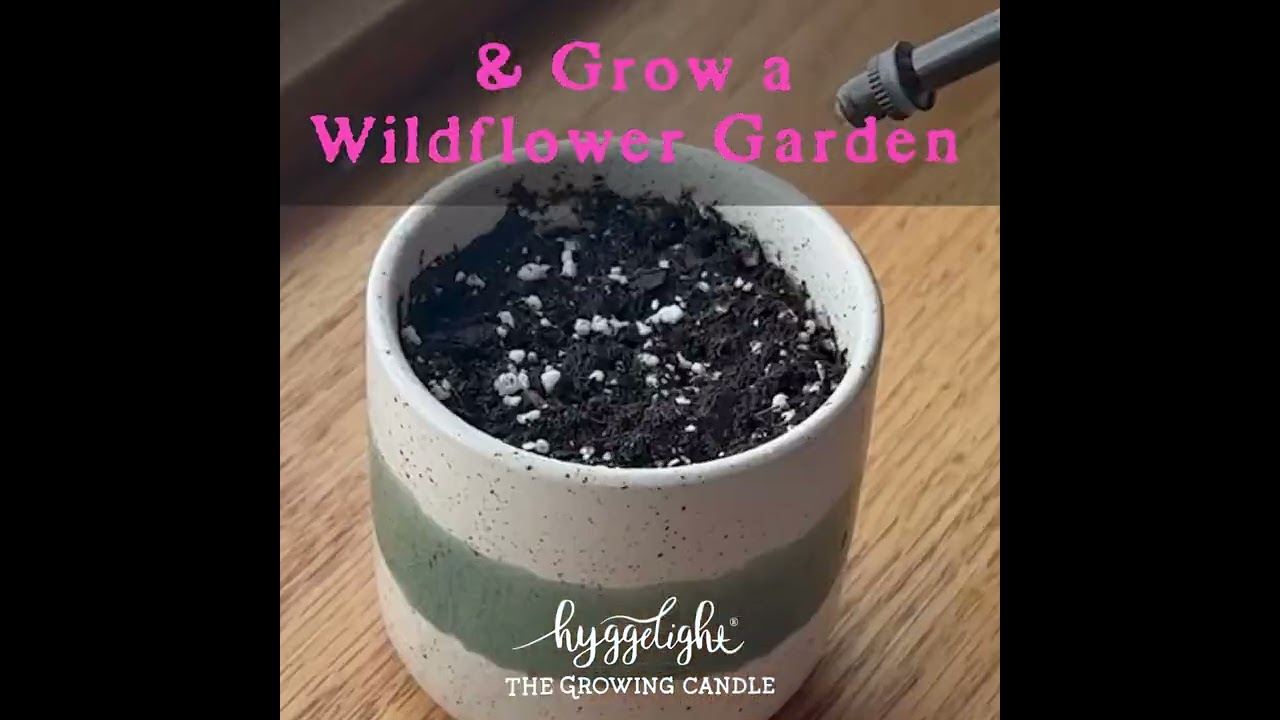 Preview of Hyggelight- The Growing Candle Topo Video