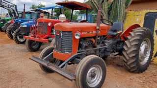 dois trator Massey Ferguson  65 X a venda valor no vídeo