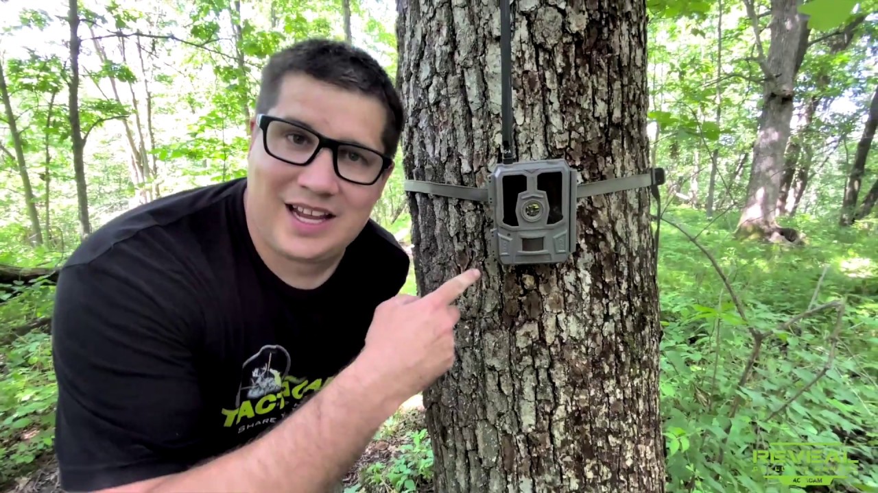 tactacam reveal cellular game camera