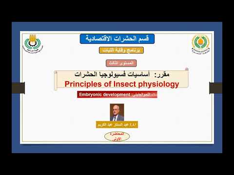 النموالجنيني فى الحشرات: Embryonic development in insects