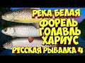 русская рыбалка 4 - Форель Хариус Голавль река Белая - рр4 фарм Алексей Майоров russian fishing 4