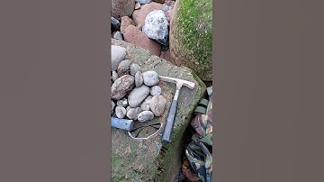 Fossils Fossils and more Fossils! ⚒️😍 #fossilhunting #fossils #shorts #short #sea #rock #beach #rock