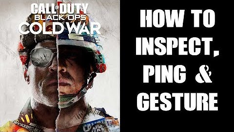 COD Black Ops Cold War How To Inspect Your Weapon, Ping Or Tag Locations & Enemies & Make Gestures