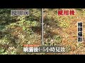 園藝寶 青苔剋星 實際使用示範 園藝寶 青苔剋星 實際使用示範