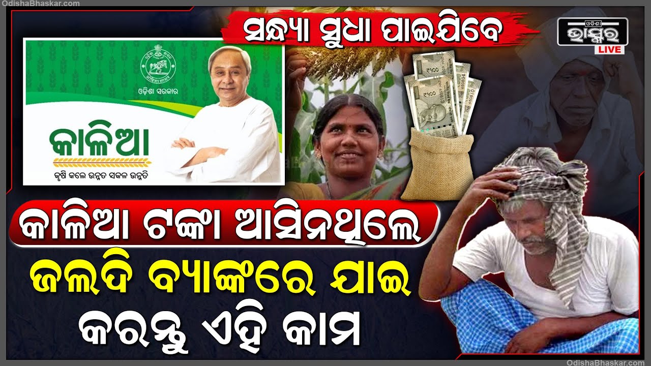 ଆପଣଙ୍କର ବି କାଳିଆ ଟଙ୍କା ଆସିନି କି ? ଶୀଘ୍ର ବ୍ୟାଙ୍କରେ ଯାଇ ଏହି କାମ କରନ୍ତୁ, ସନ୍ଧ୍ୟା ସୁଧା ଆସିଯିବ ଟଙ୍କା