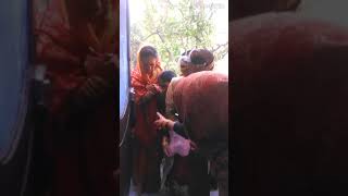 Pyaari Bahurani Mere Garh Aayi