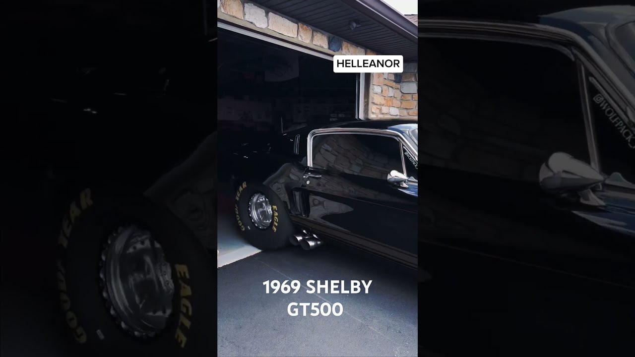 1969 Shelby GT500 The Ultimate American Muscle Car Shelbygt500 Musclecar Automobile