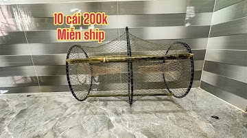 Báo giá lợp cá lóc cải tiến mới nhất 2024