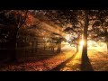 Liquid Fraction - Light Behind Trees - Deep Ambient Techno Mix - 10-12-24