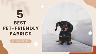 5 Best Pet-Friendly Fabrics | Furniture Adda