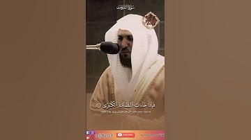 #تلاوة_خاشعة #ماهر_المعيقلي #quran #قرآن #سورة النازعات #المصحف