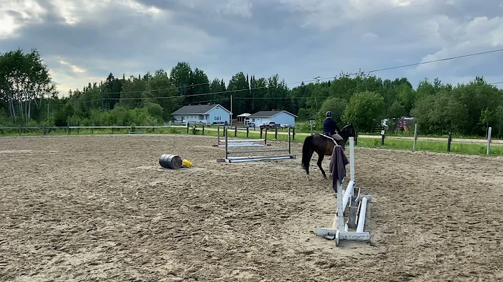 Leeanne Gilbert - Dipper #22 Equitation w/t/c on t...